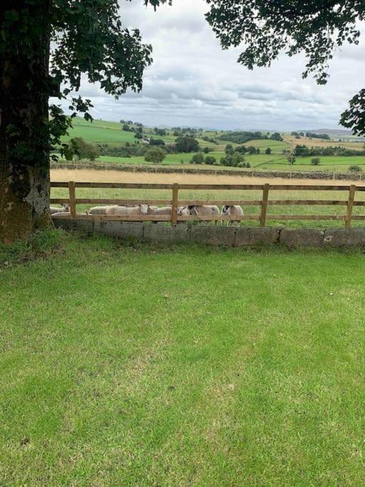 Ivy House Farm, Near Longnor Villa Longnor  Exterior photo